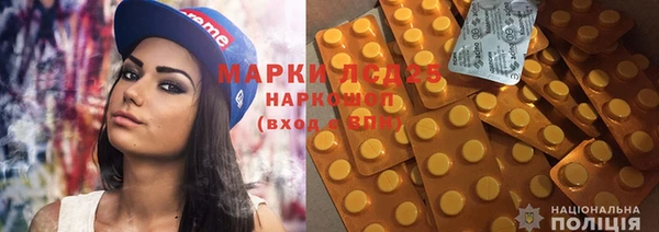 прущие грибы Каменногорск