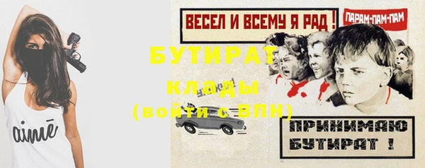 apvp Каменка