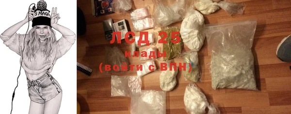 прущие грибы Каменногорск
