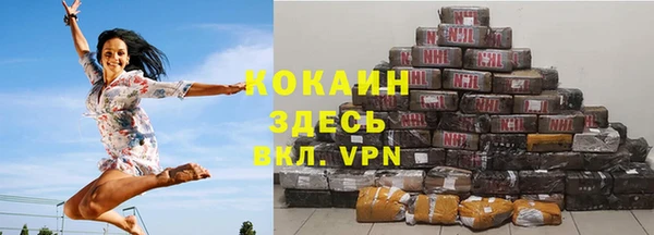 apvp Каменка