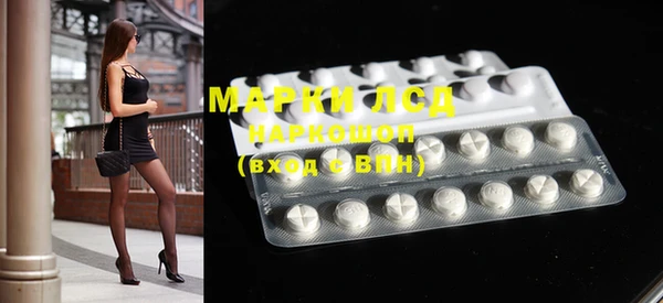 прущие грибы Каменногорск