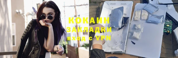 apvp Каменка