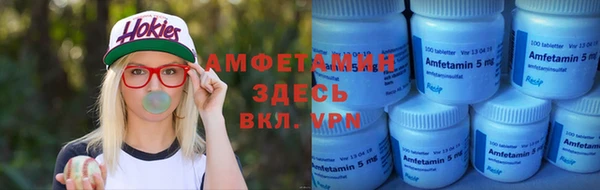 apvp Каменка