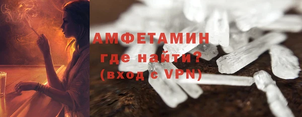 прущие грибы Каменногорск