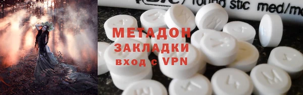 прущие грибы Каменногорск