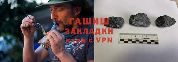 прущие грибы Каменногорск