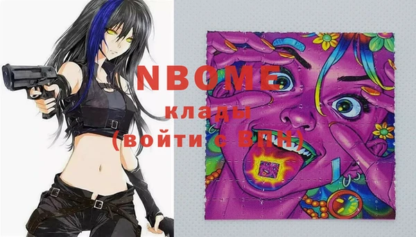 apvp Каменка