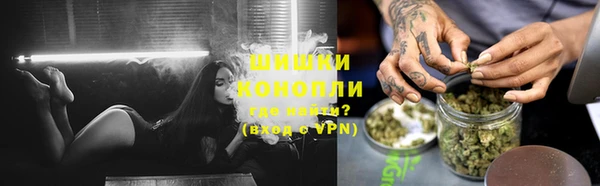 прущие грибы Каменногорск