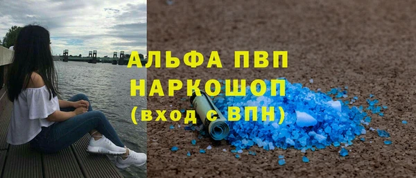 прущие грибы Каменногорск