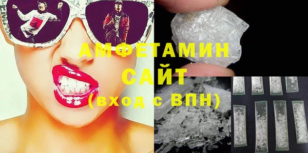 прущие грибы Каменногорск