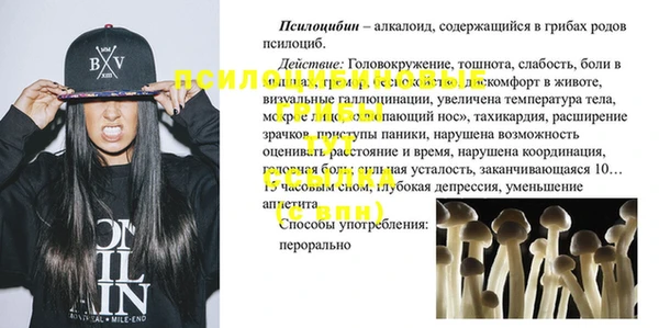 apvp Каменка