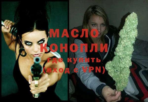 apvp Каменка