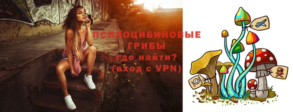 apvp Каменка