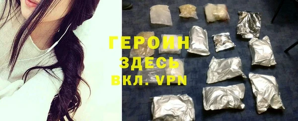 прущие грибы Каменногорск