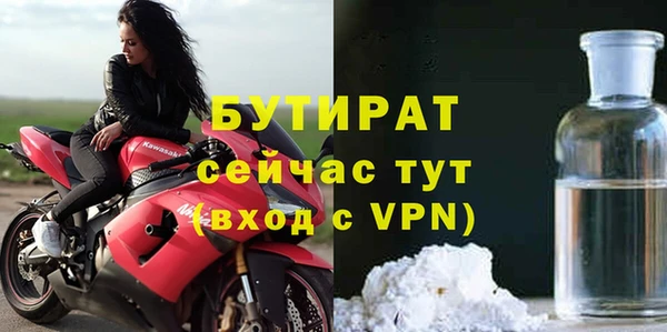 прущие грибы Каменногорск