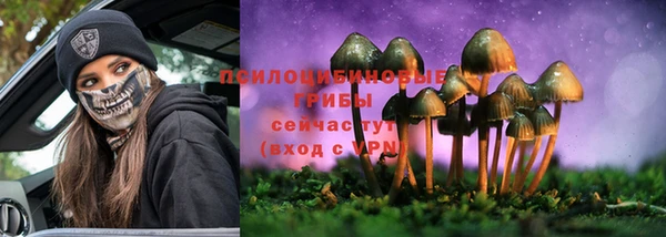 марки nbome Карпинск