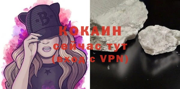 apvp Каменка