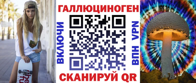 Купить где Нововоронеж Псилоцибиновые грибы Cubensis